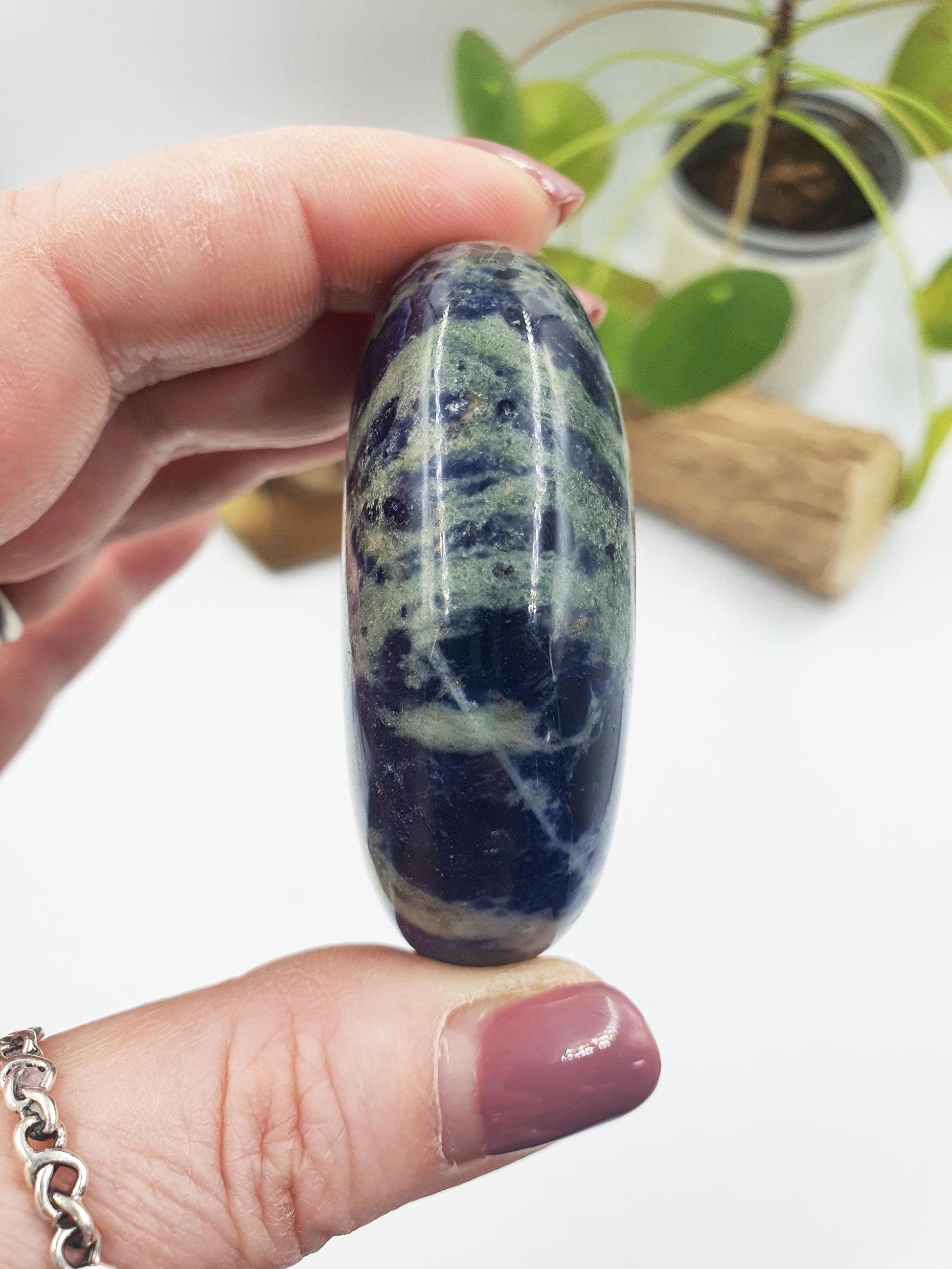 Sodalite Palm