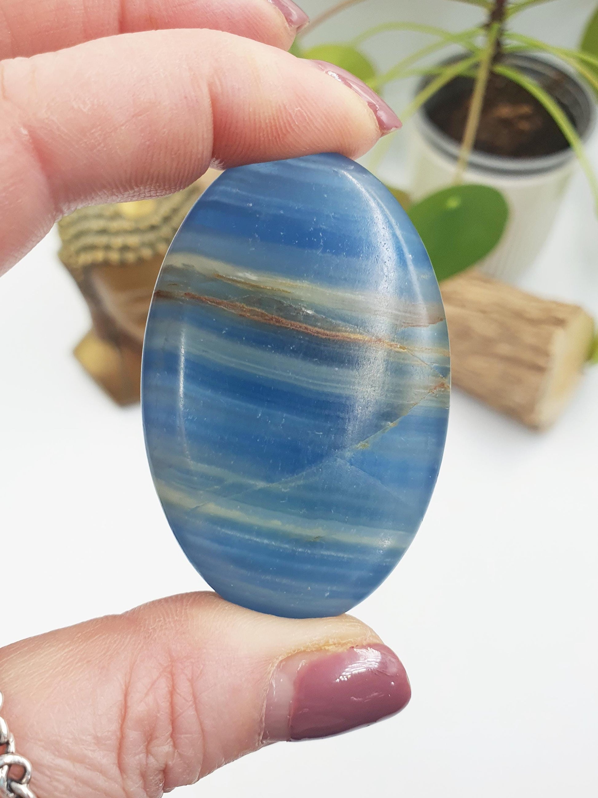 Blue Onyx Palm