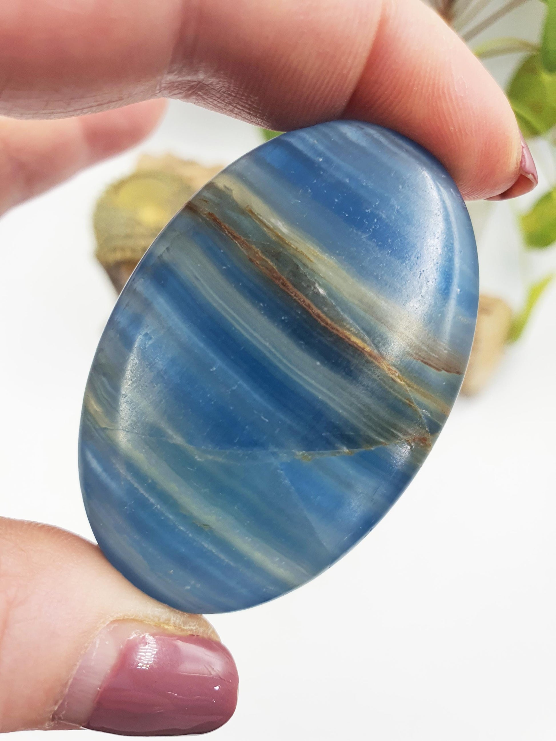 Blue Onyx Palm