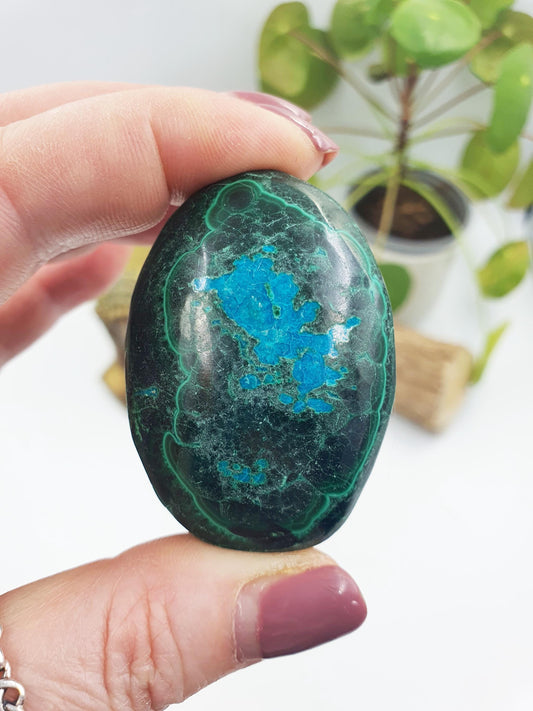 Chrysocolla Palm