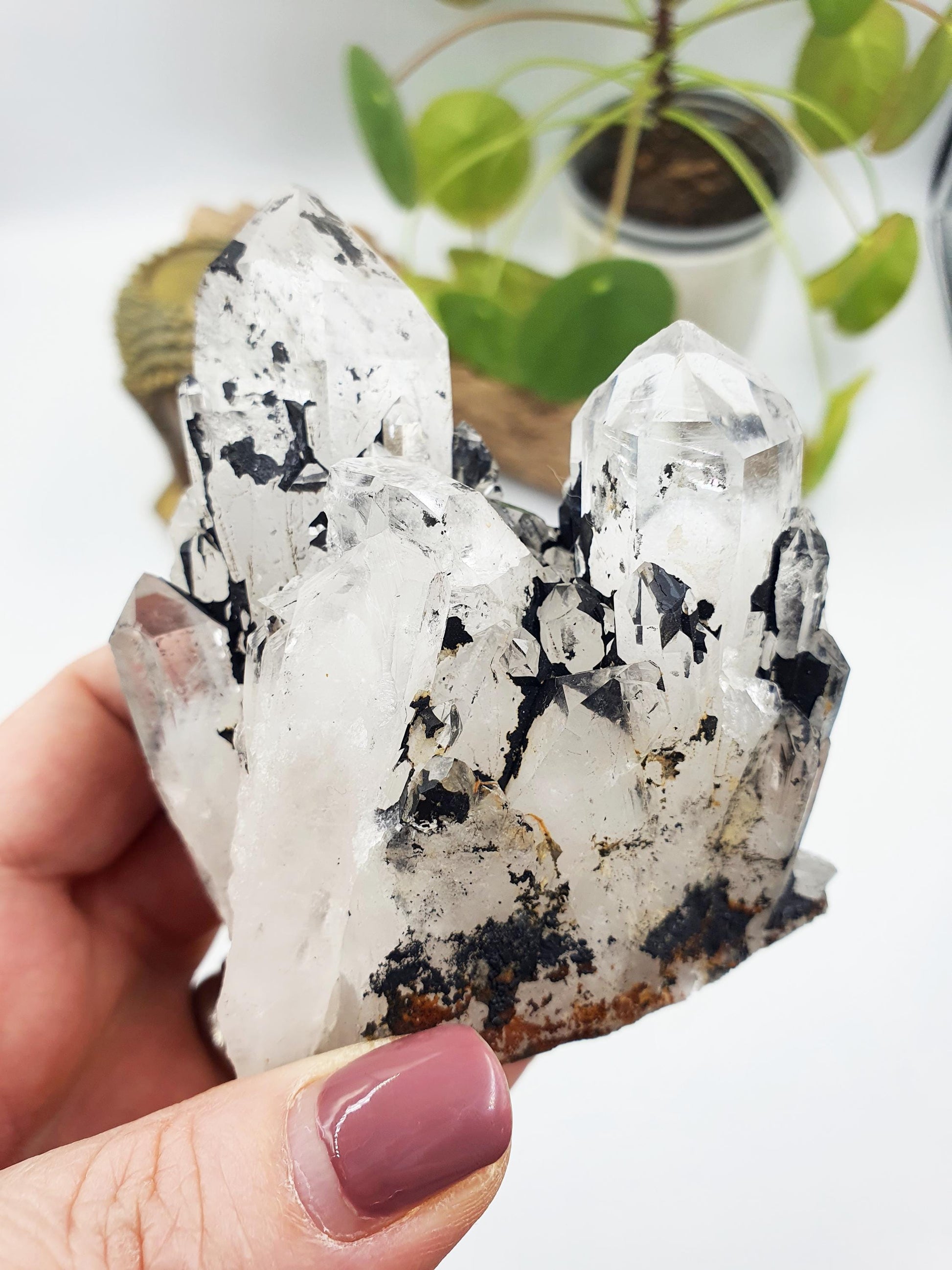 Clear Quartz and Hematite Cluster