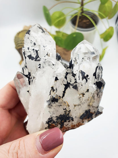 Clear Quartz and Hematite Cluster