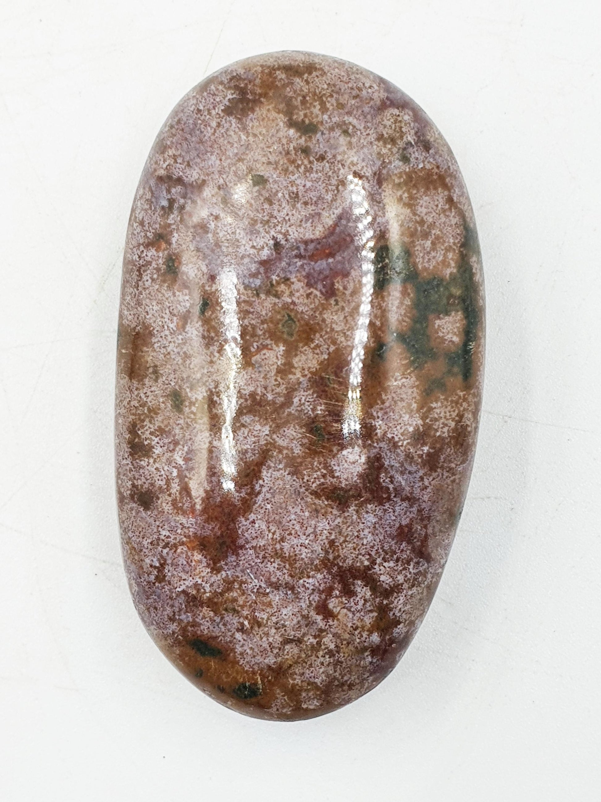 Ocean Jasper Palm