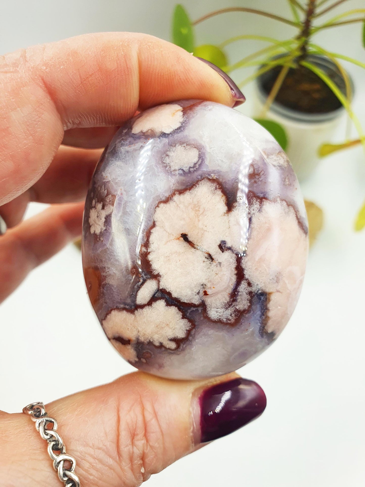 Large Blue Flower Agate Palm