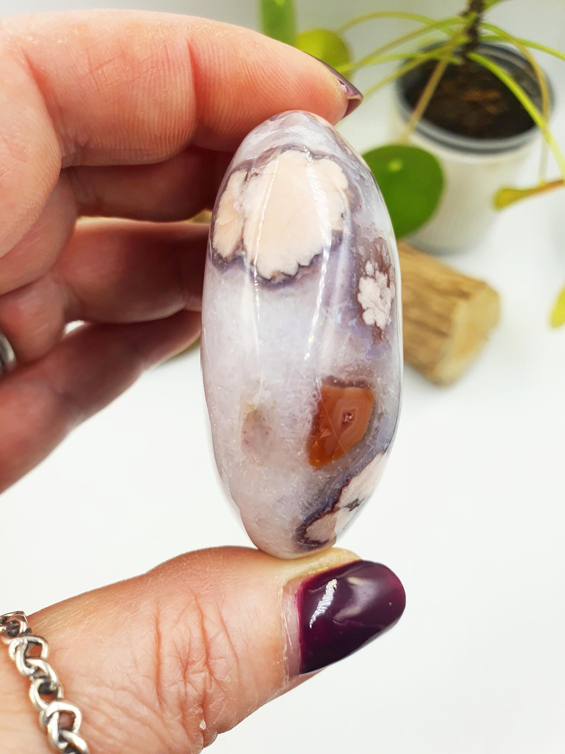 Large Blue Flower Agate Palm