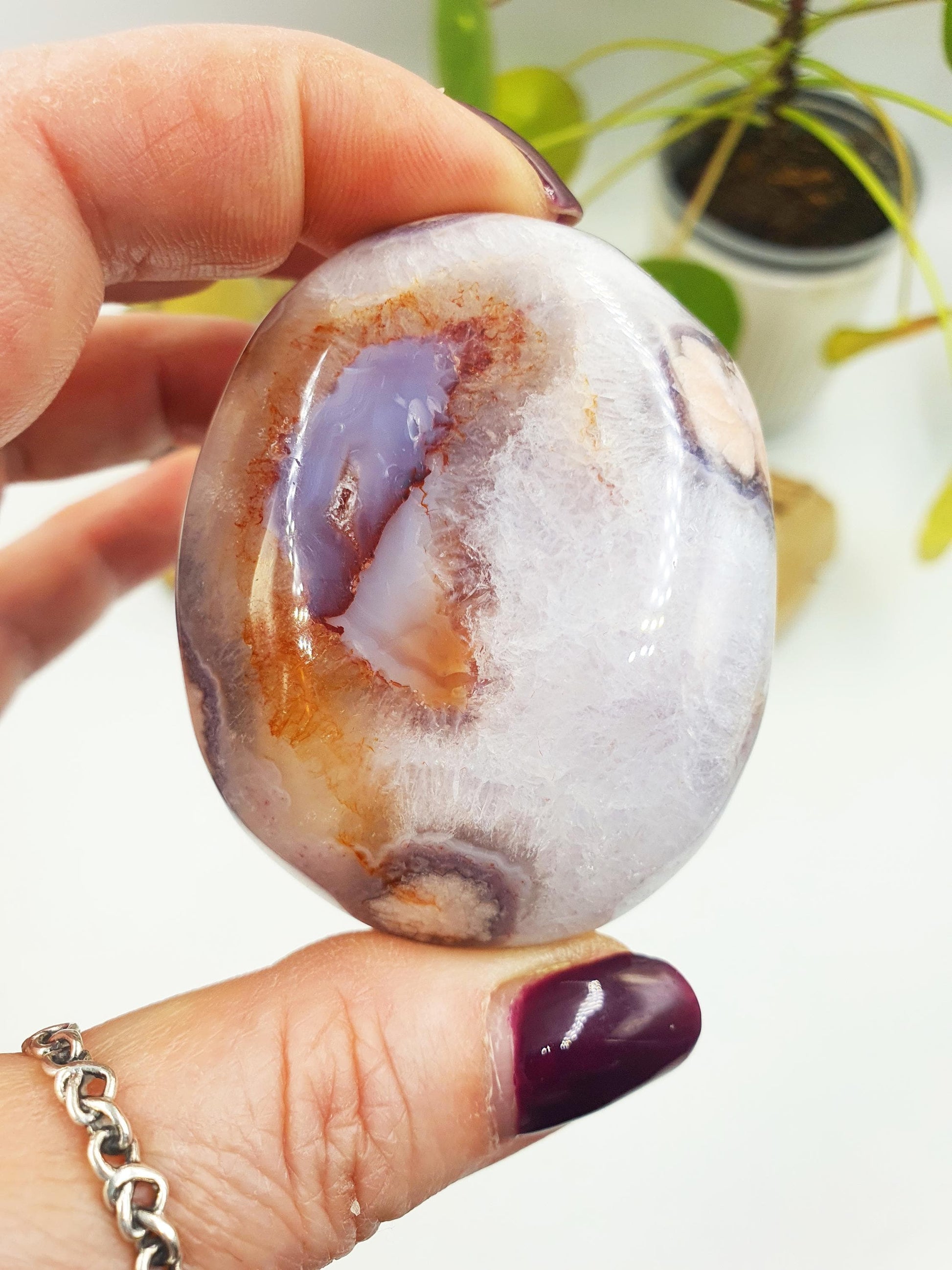Large Blue Flower Agate Palm