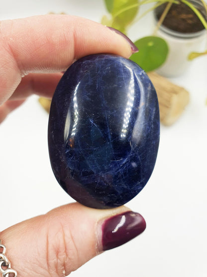 Sodalite Palm