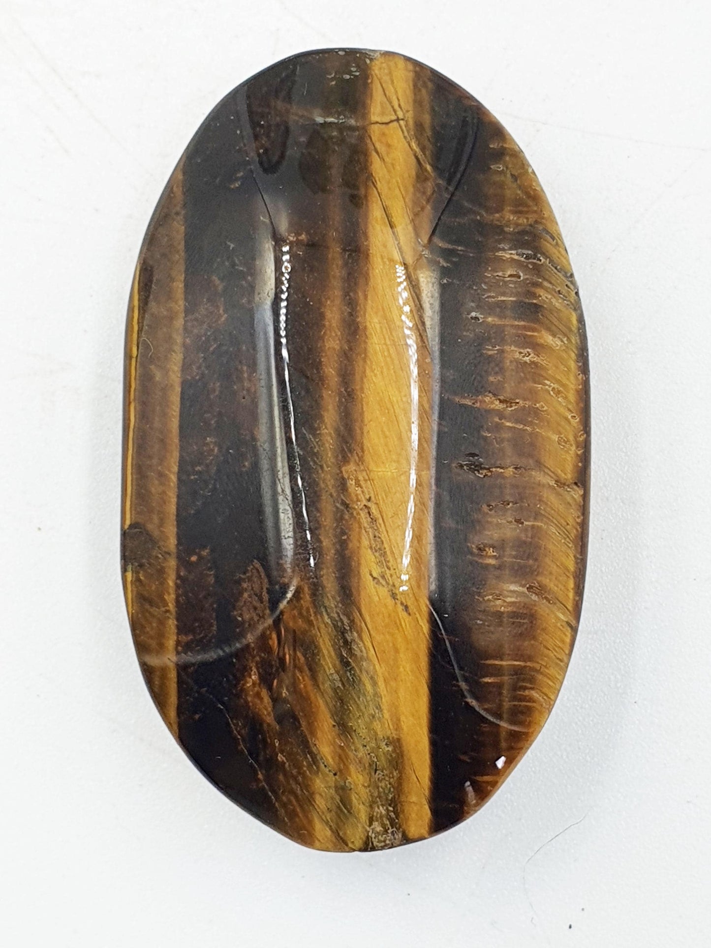 Flashy Yellow Tigers Eye Palm