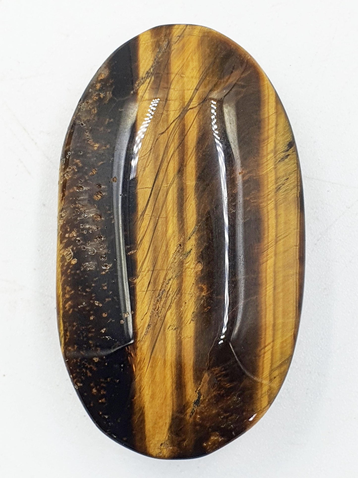 Flashy Yellow Tigers Eye Palm