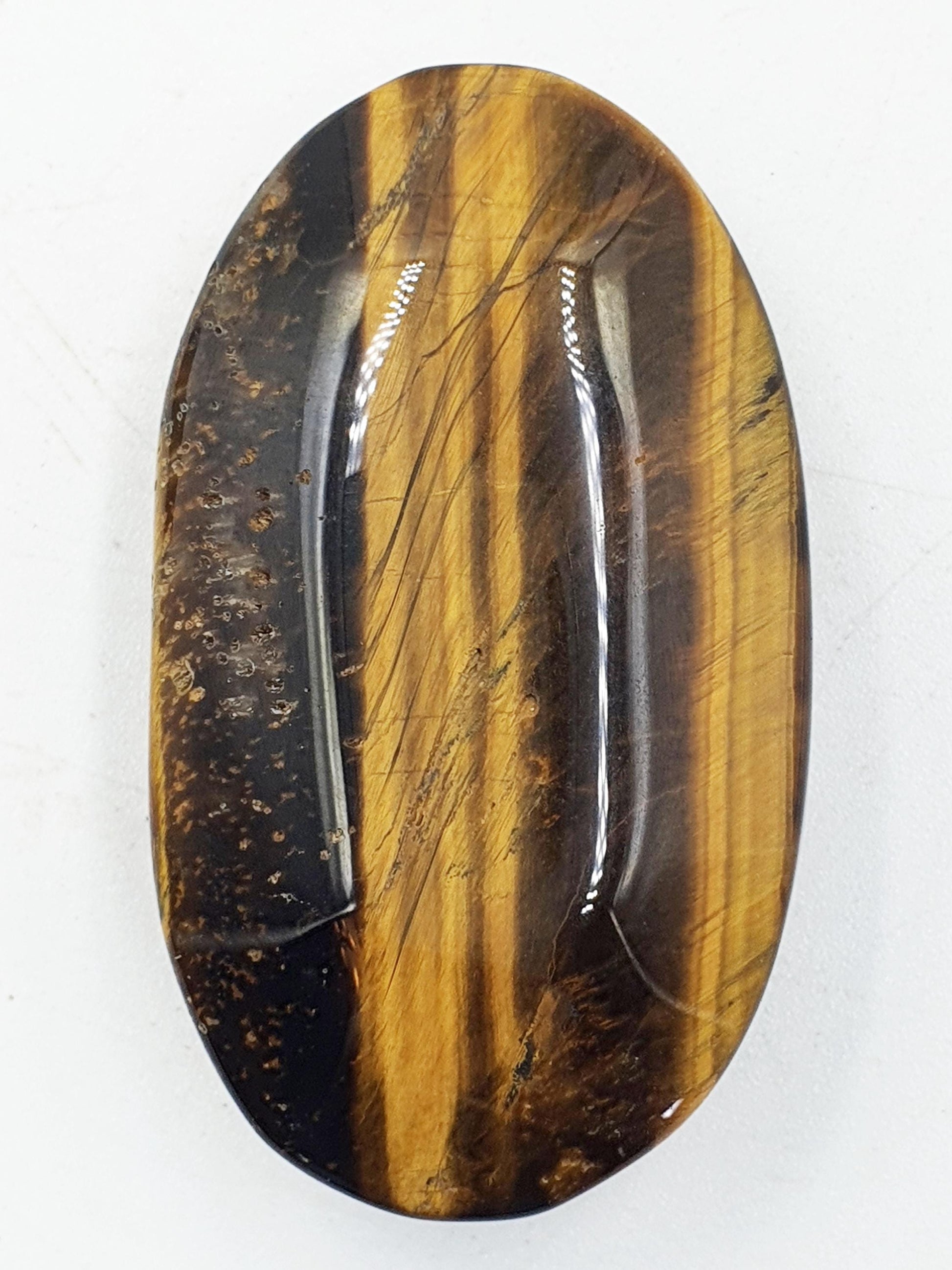Flashy Yellow Tigers Eye Palm