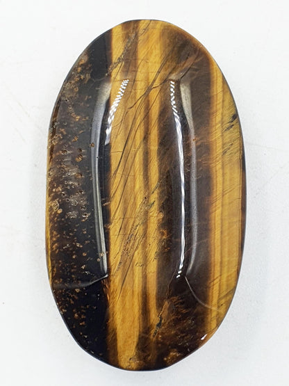 Flashy Yellow Tigers Eye Palm