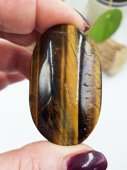 Flashy Yellow Tigers Eye Palm