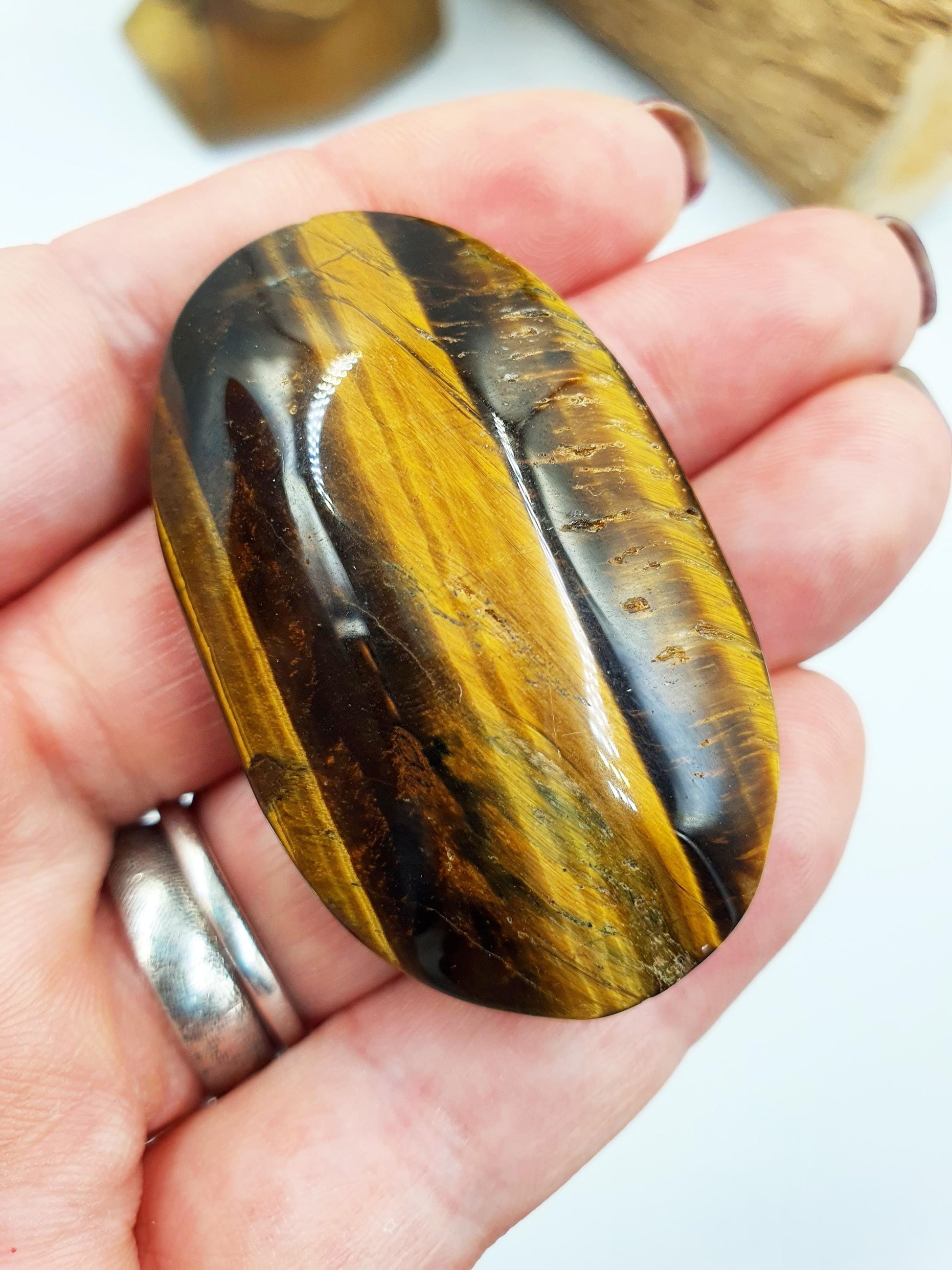 Flashy Yellow Tigers Eye Palm