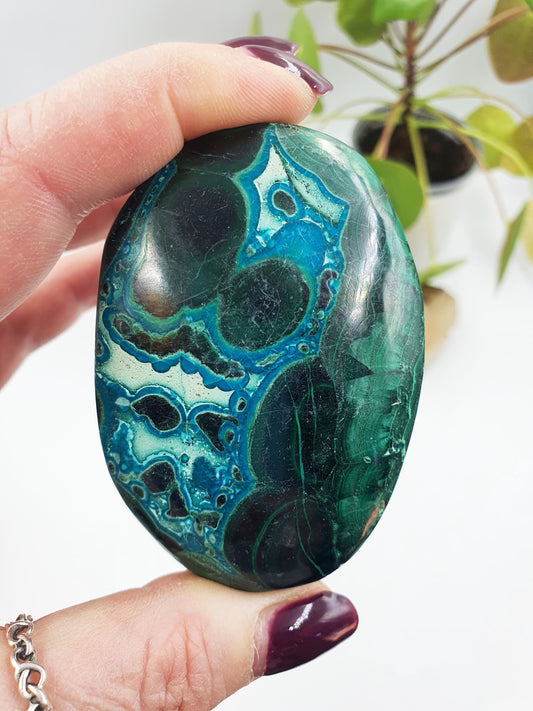 Chrysocolla Palm