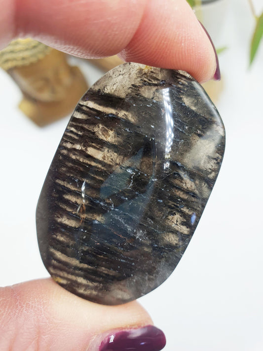 Thousand Layer (Lodolite) Palm Stone