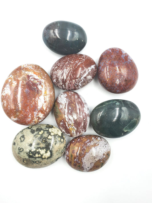 Ocean Jasper Palms