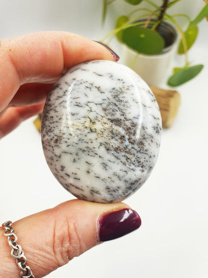 Dendritic Opal Palm