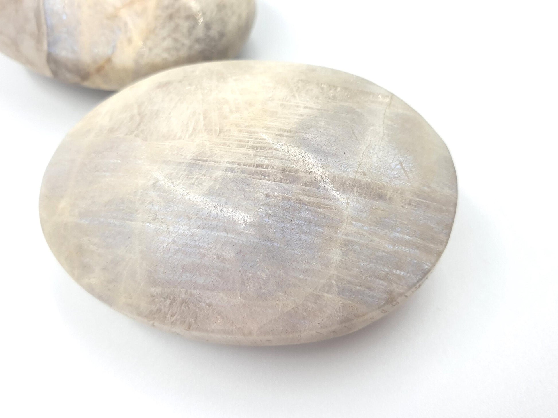 Blue Moonstone Palms