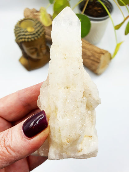 Sparkly Clear Quartz Pinapple Cluster