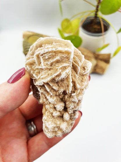 Large Desert Rose Specimen / Desert Rose Cluster / Gypsum / Raw Desert Road Mineral - 130g