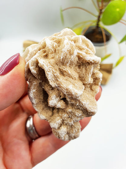 Large Desert Rose Specimen / Desert Rose Cluster / Gypsum / Raw Desert Road Mineral - 130g