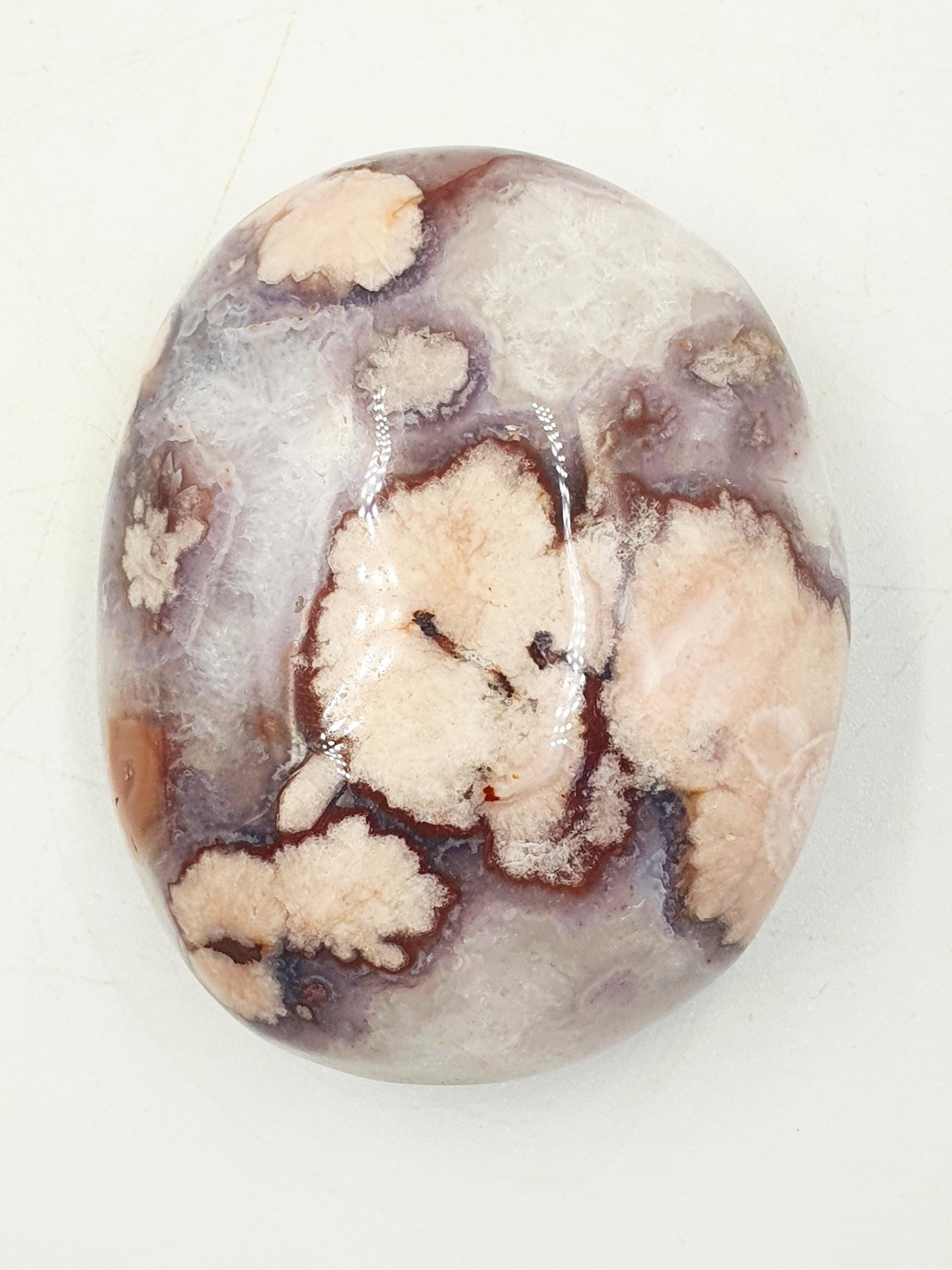 Large Blue Flower Agate Palm