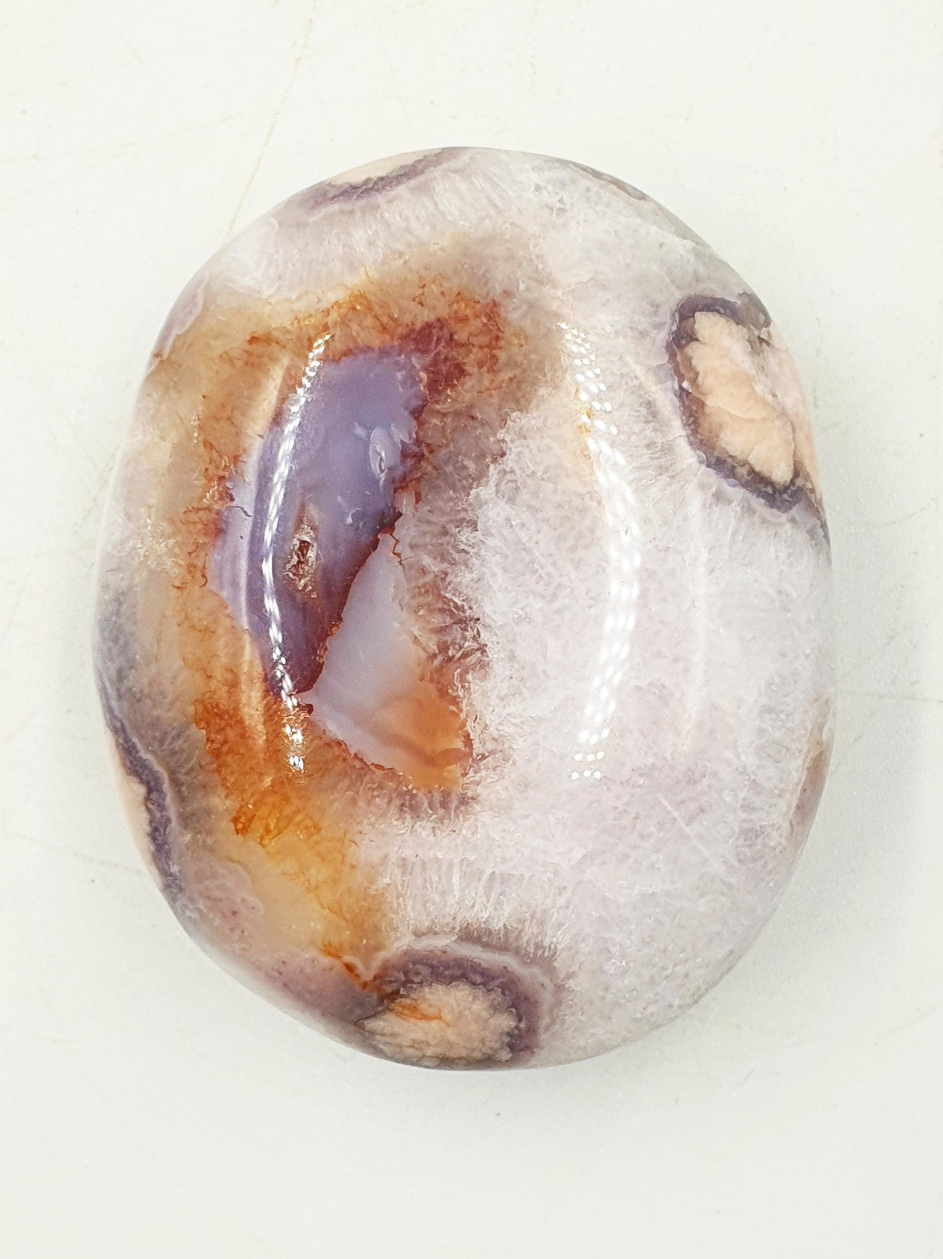 Large Blue Flower Agate Palm