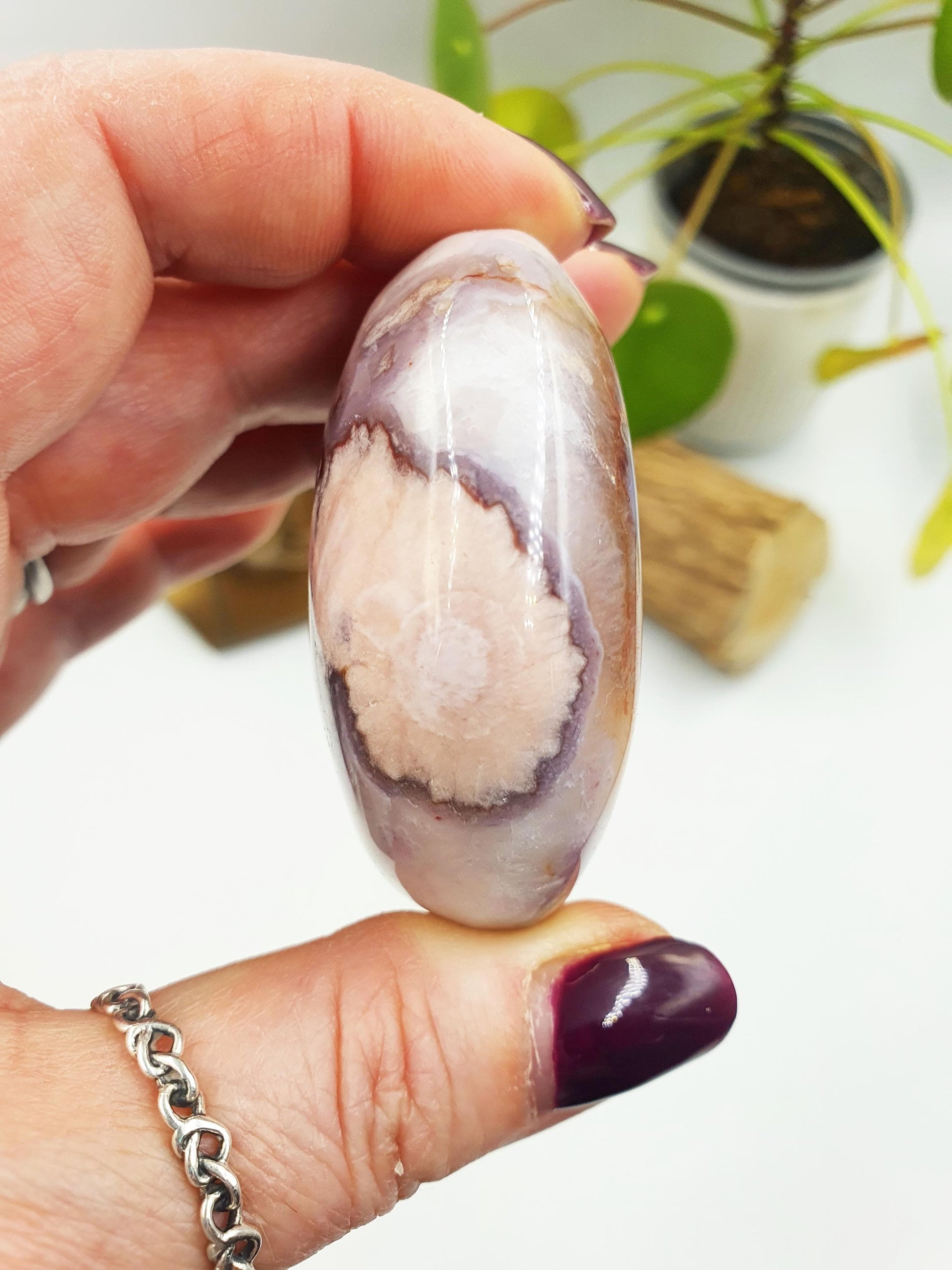 Large Blue Flower Agate Palm