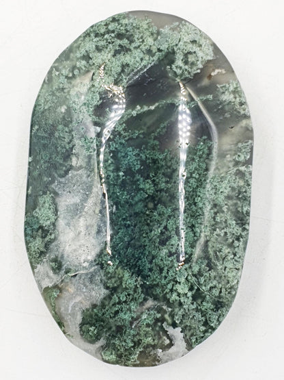 Large Moss Agate Drusy Palm