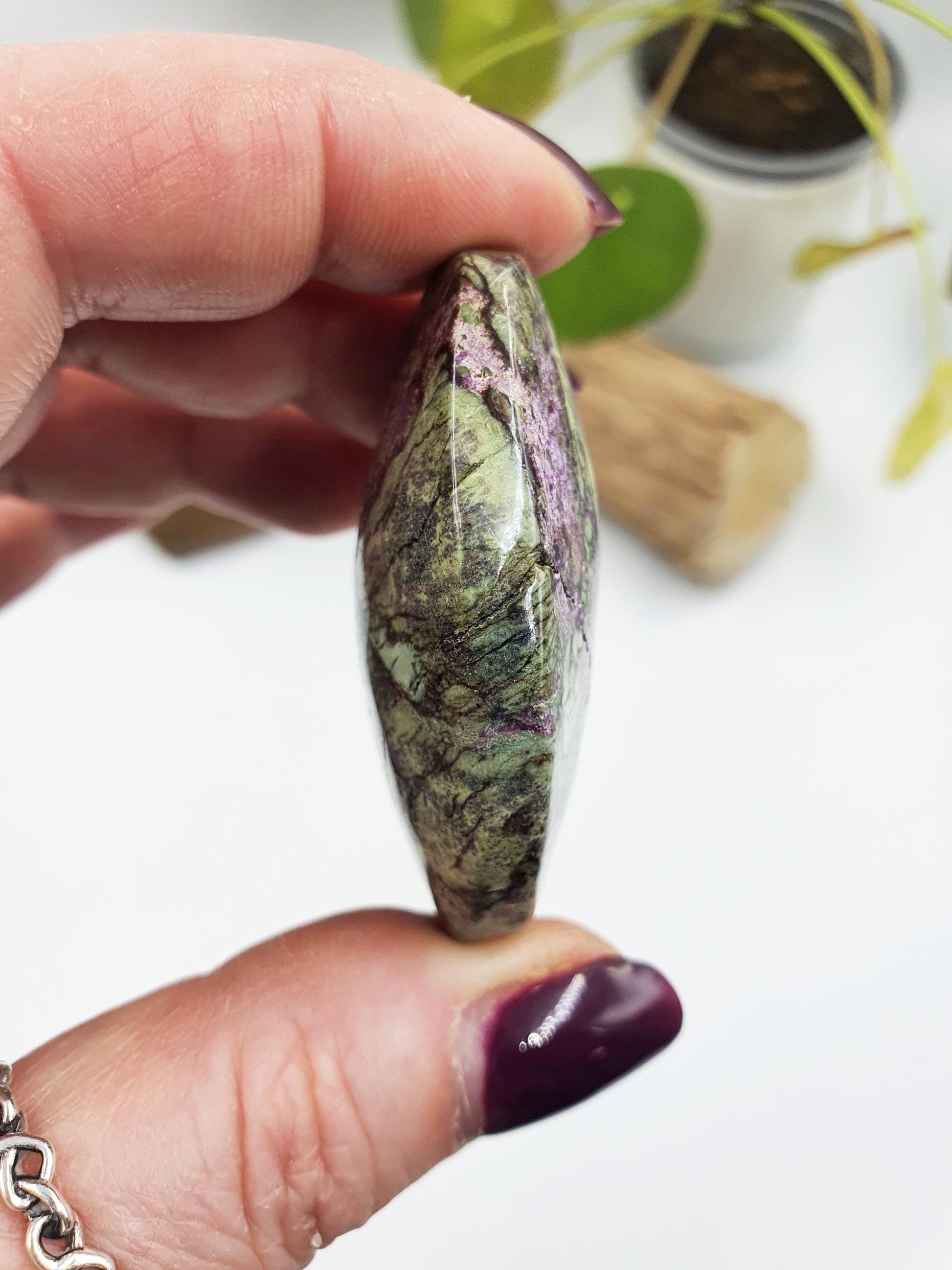 Little Atlantisite Palm
