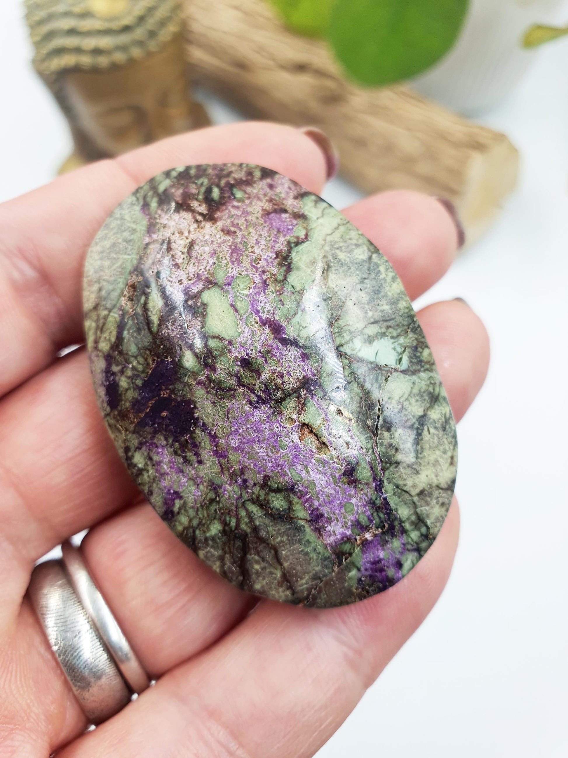 Little Atlantisite Palm