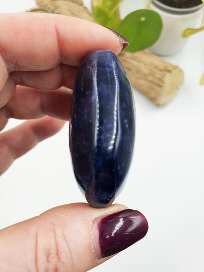 Sodalite Palm