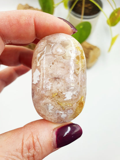 Flower Agate Palm