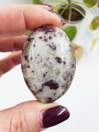 Little Plum Tourmaline Palm
