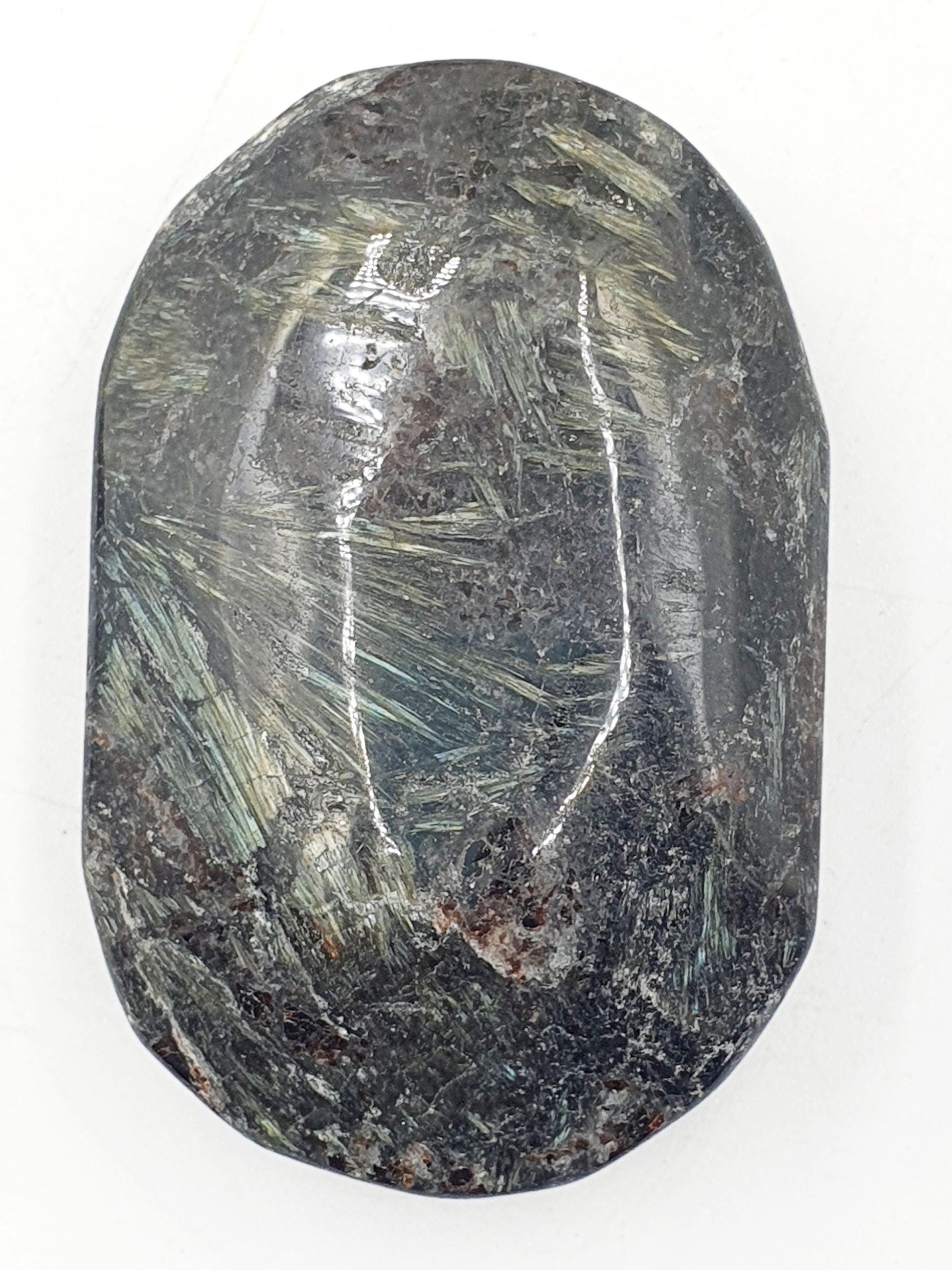 Large Astrophyllite Palm
