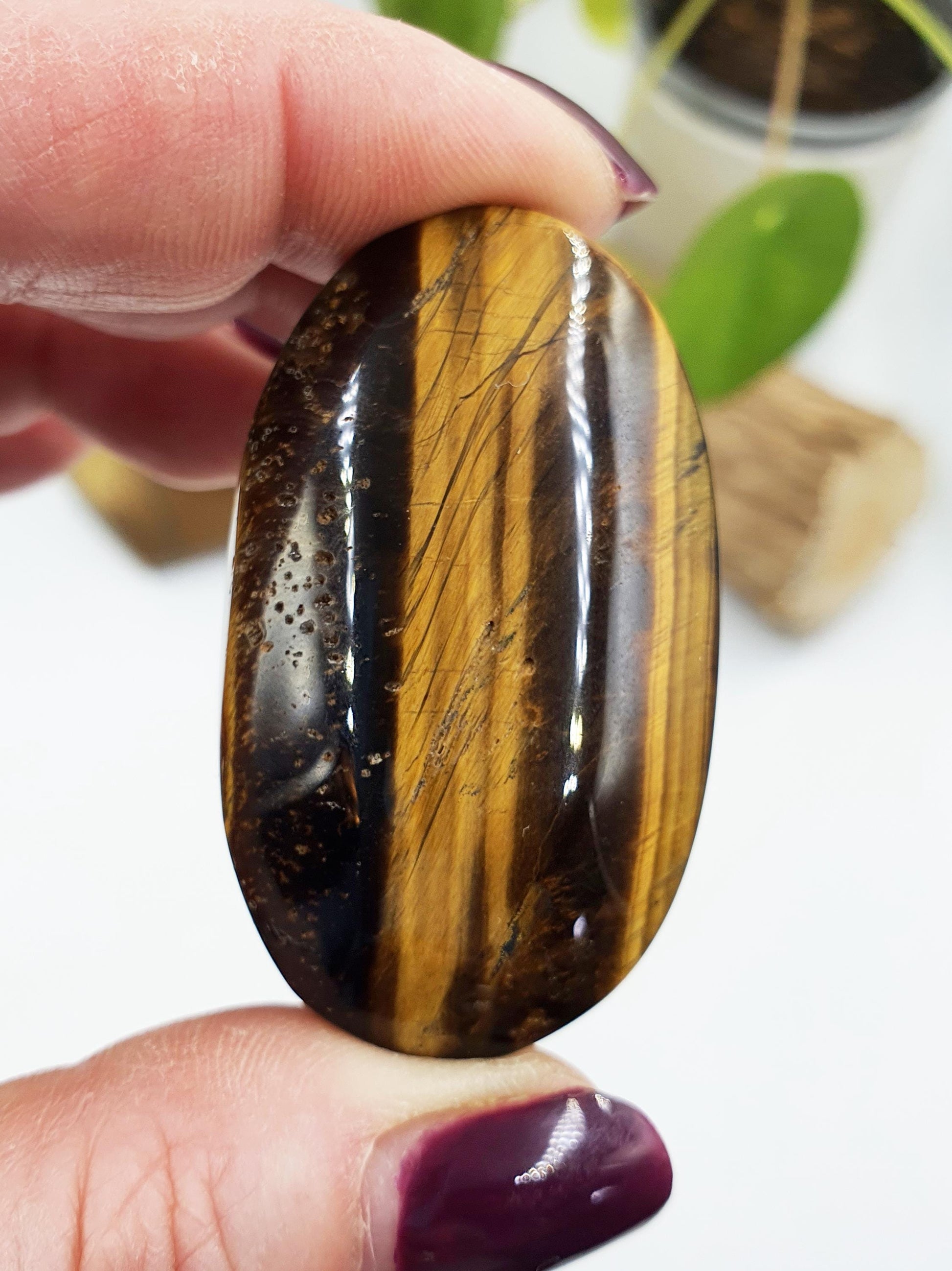 Flashy Yellow Tigers Eye Palm