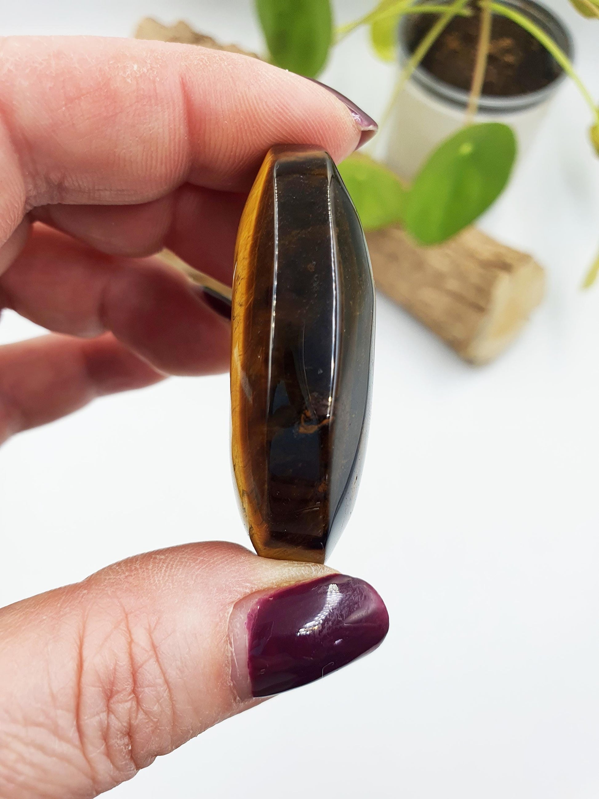 Flashy Yellow Tigers Eye Palm