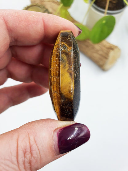 Flashy Yellow Tigers Eye Palm