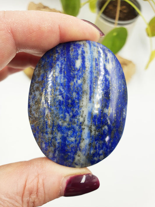 Lapis Lazuli Palm