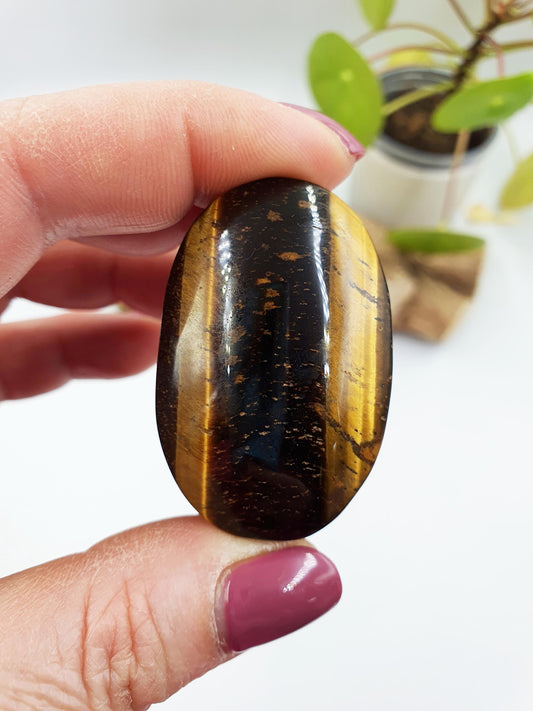 Flashy Yellow Tigers Eye Palm / Tiger's Eye Palm Stone / Pocket Crystal / Meditation Palm / Reiki Crystal Palm - 45g