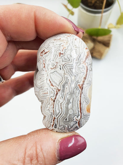 Stunning Unique Mexican Crazy Lace Agate Palm with large drusy sparking pockets / Crazy Lace Agate Palm Stone / Meditation Palm - 40g