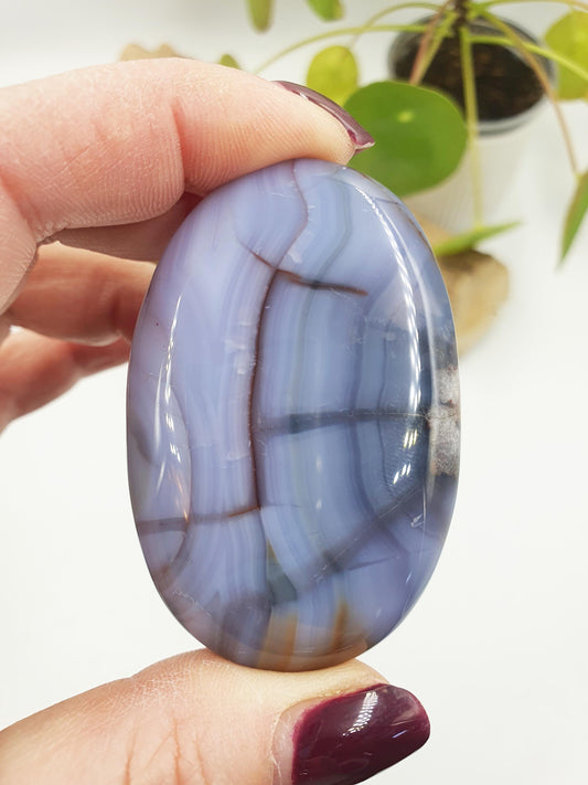 Unique Blue Flower Agate Palm