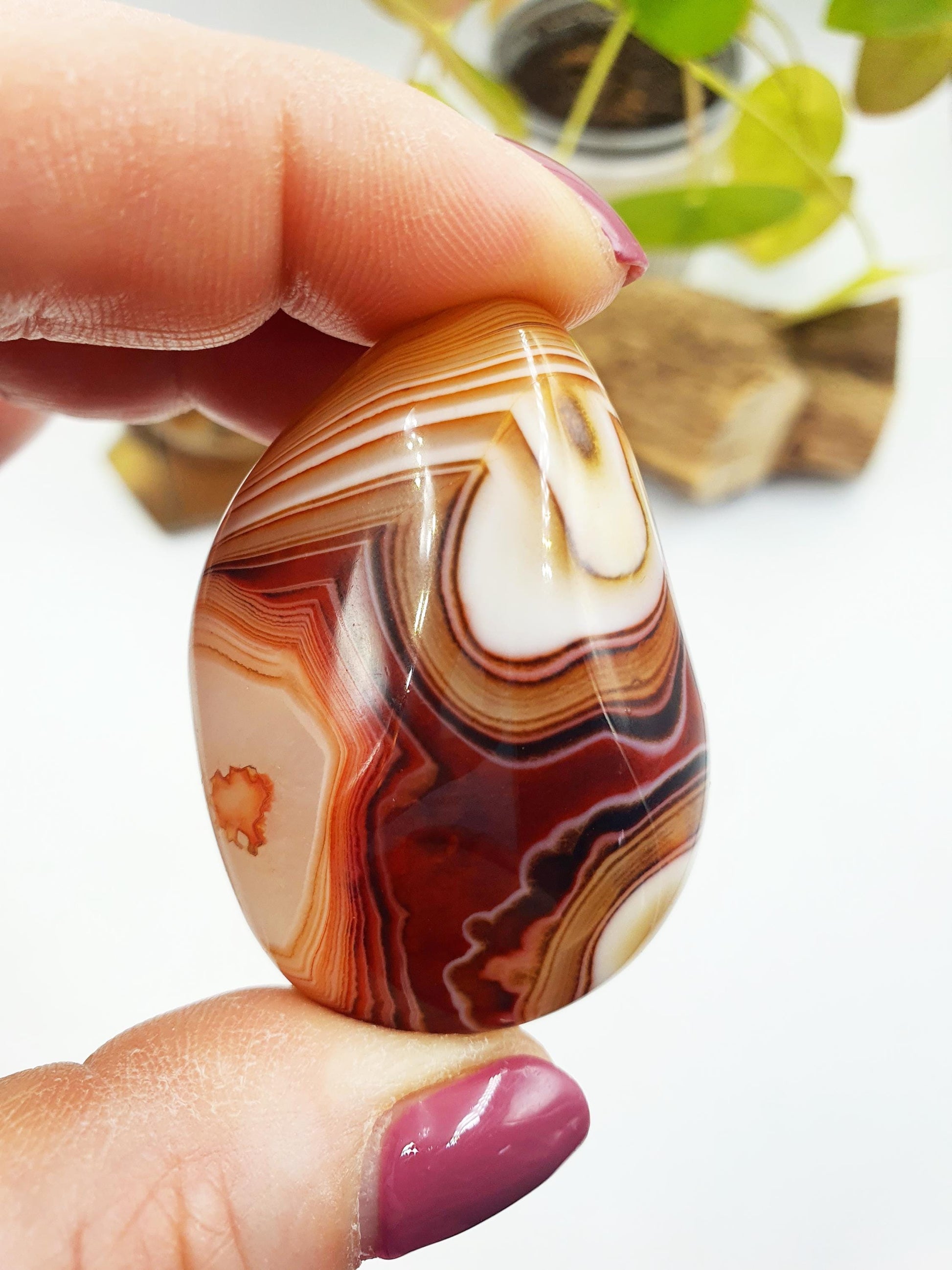 Stunning Sardonyx Palm / Sardonyx Palm Stone / Healing Palm / Meditation Palm / Reiki Crystal Palm - 60g