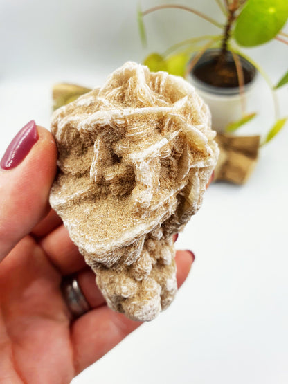 Large Desert Rose Specimen / Desert Rose Cluster / Gypsum / Raw Desert Road Mineral - 130g