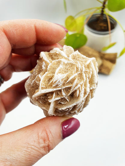 Large Desert Rose Specimen / Desert Rose Cluster / Gypsum / Raw Desert Road Mineral - 130g