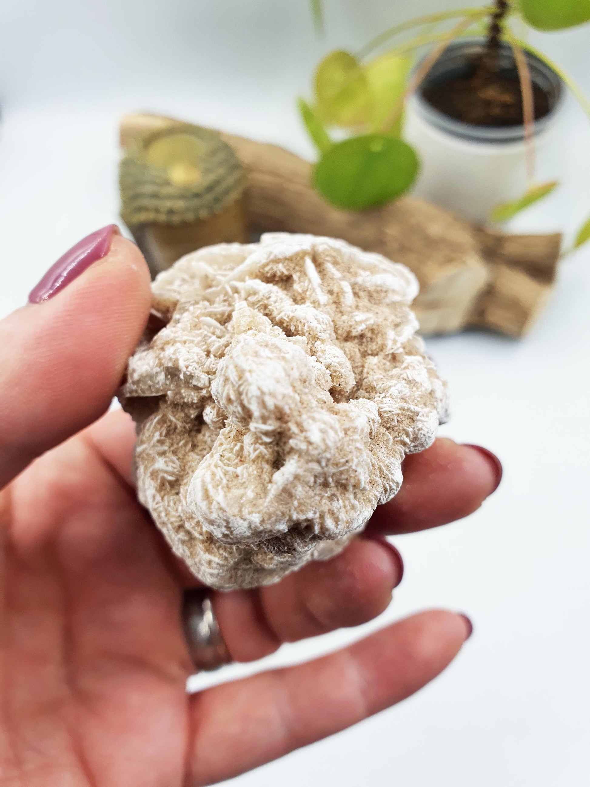 Large Desert Rose Specimen / Desert Rose Cluster / Gypsum / Raw Desert Road Mineral - 130g
