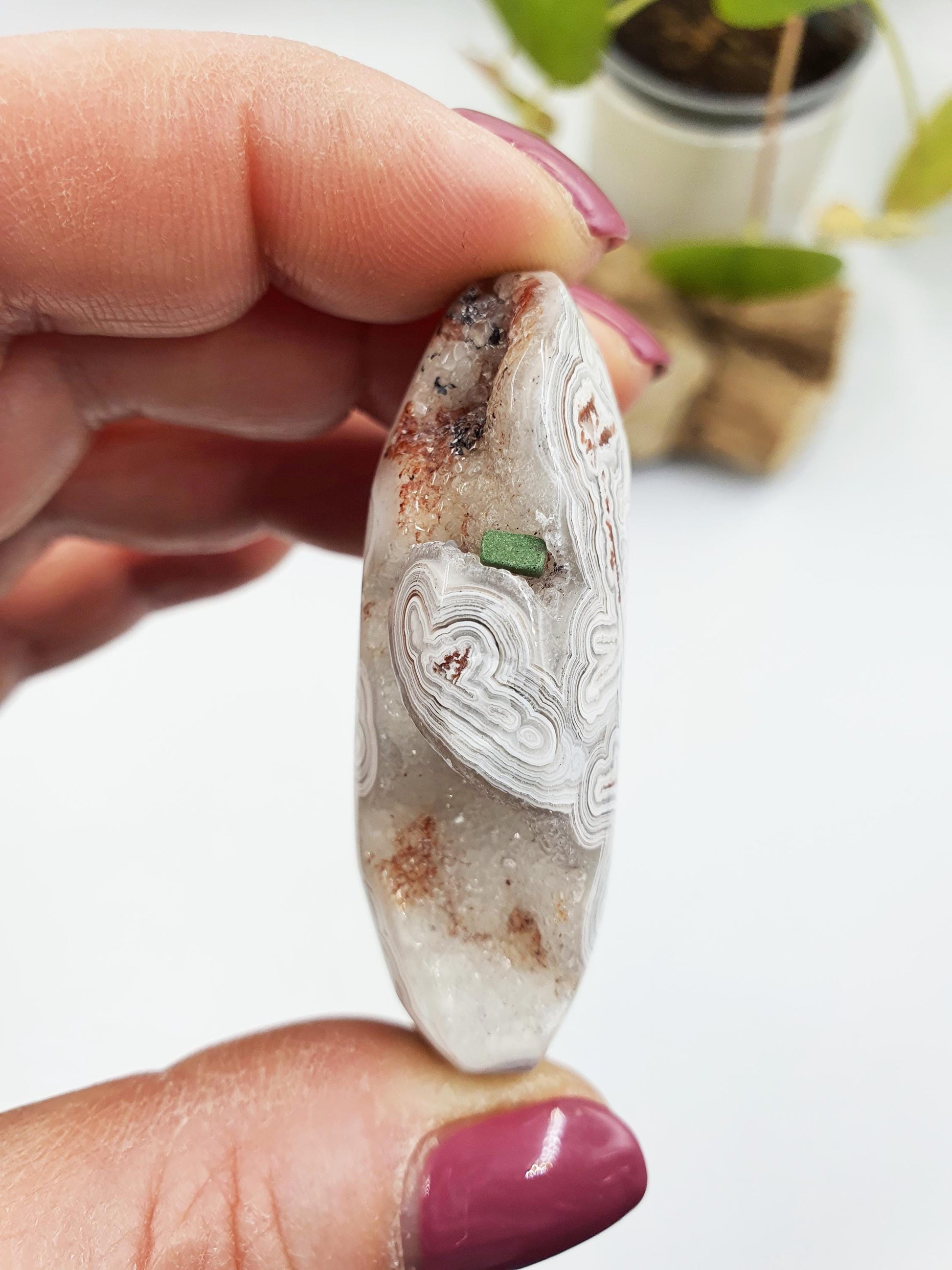 Stunning Unique Mexican Crazy Lace Agate Palm with large drusy sparking pockets / Crazy Lace Agate Palm Stone / Meditation Palm - 40g