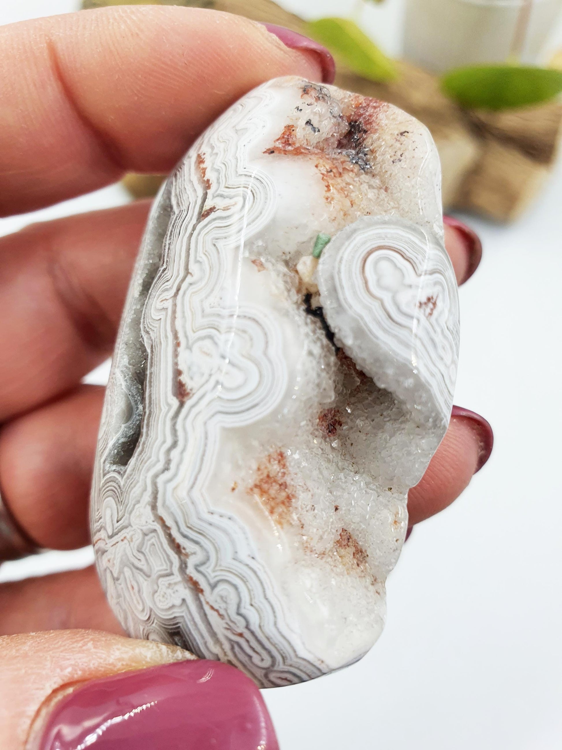 Stunning Unique Mexican Crazy Lace Agate Palm with large drusy sparking pockets / Crazy Lace Agate Palm Stone / Meditation Palm - 40g