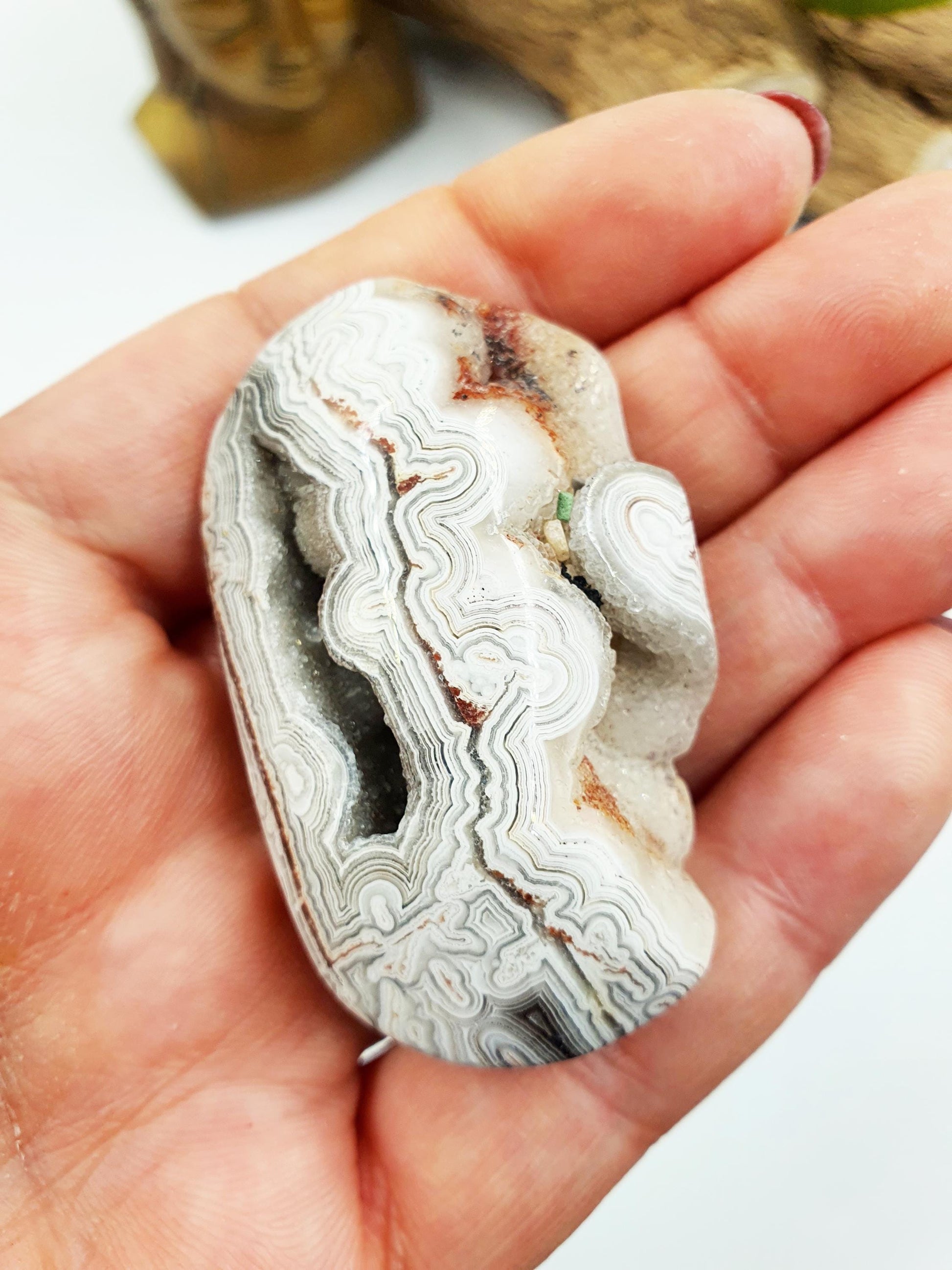 Stunning Unique Mexican Crazy Lace Agate Palm with large drusy sparking pockets / Crazy Lace Agate Palm Stone / Meditation Palm - 40g