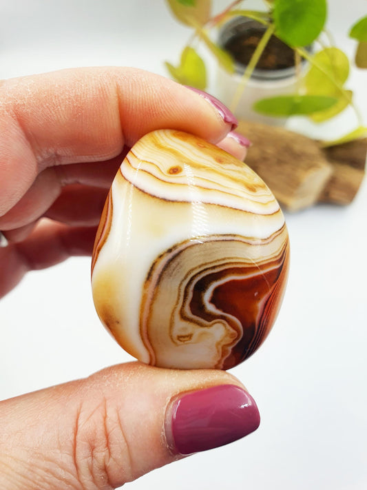 Stunning Sardonyx Palm / Sardonyx Palm Stone / Healing Palm / Meditation Palm / Reiki Crystal Palm - 60g